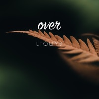 Over - Single - LiQWYD