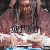 Culture - Single - Mainetain of New Skool Enk & Domino Dent