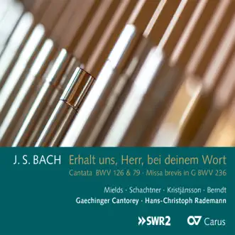 Johann Sebastian Bach: Erhalt uns, Herr, bei deinem Wort by Gaechinger Cantorey & Hans-Christoph Rademann album reviews, ratings, credits