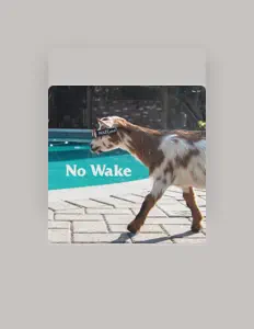 No Wakeを聴いたり、ミュージックビデオを鑑賞したり、経歴やツアー日程などを確認したりしましょう！