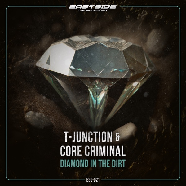 Diamond in the Dirt - Single