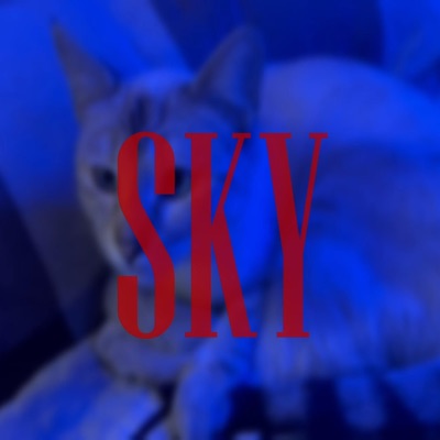 SKY - Single