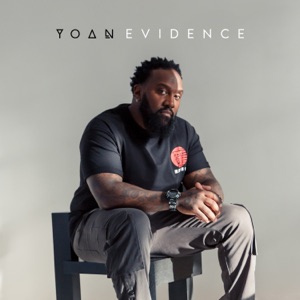 Evidence (single mix)