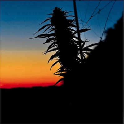 Party over Here - Single