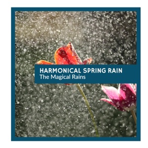 Harmonical Spring Rain - The Magical Rains