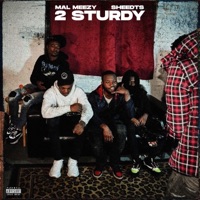 2 Sturdy - Mal Meezy & SheedTs