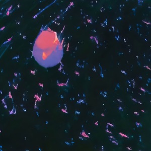 Nana - Single (DJ Nobu Remix) - Single