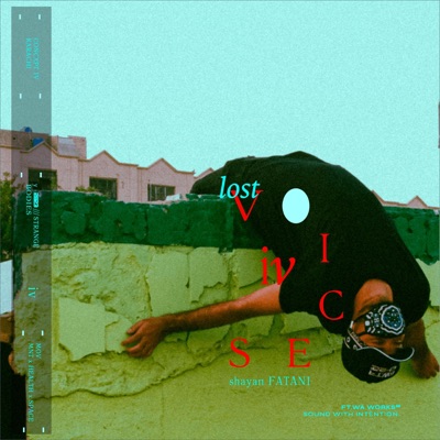 Lost Voices (feat. Shayan Fatani) - Single