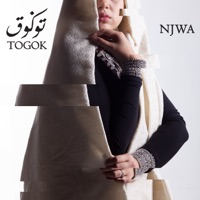 Togok (feat. MonoloQue) - Single - NJWA