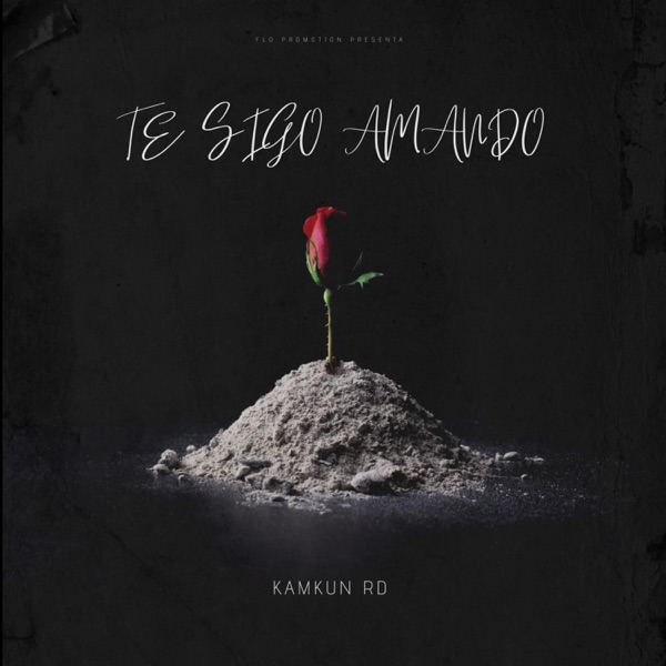 TE SIGO AMANDO