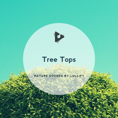 Tree Tops