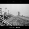 Paradise (feat. Ben Haydn) - Single