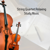 String Quartet Relaxing, Study Music - Violins, Violin Cello Zone & Violin Music