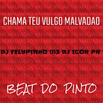 Chama Teu Vulgo Malvadao (feat. mc jhenny) - Single by DJ IGOR PR & DJ FELYPINHO 013 album reviews, ratings, credits