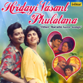 Hridayi Vasant Phulatana and Other Marathi Love Songs - Various Artists