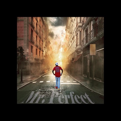Mr.Perfect - Single