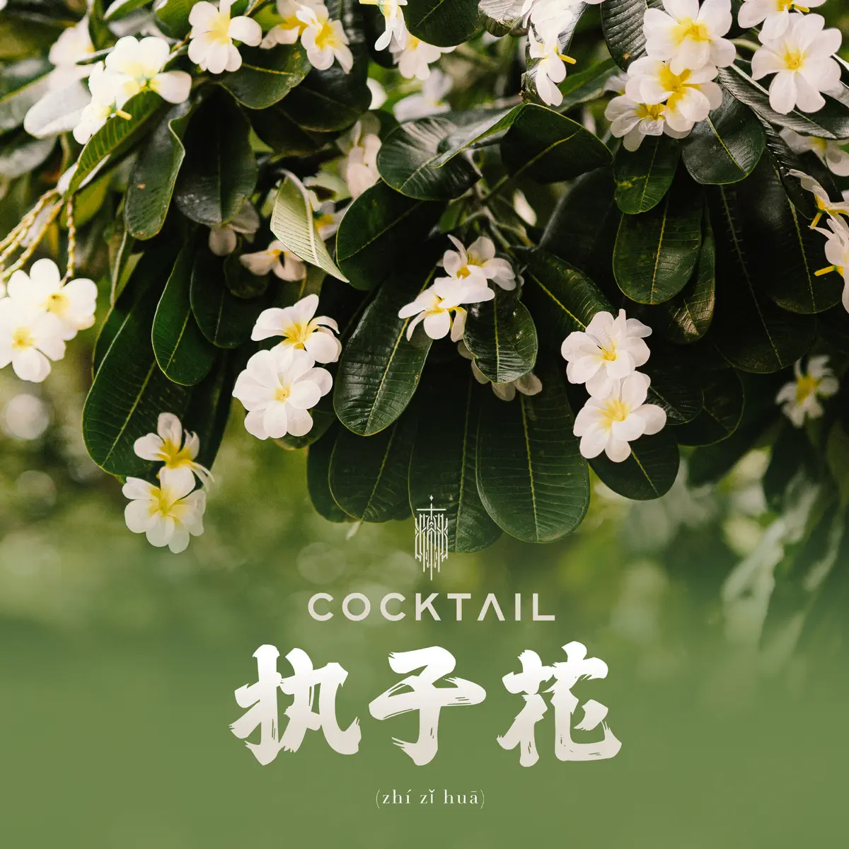 Cocktail - 执子花 (zhí zǐ huā) [Original Soundtrack "I Feel You Linger in the Air"] - Single (2023) [iTunes Plus AAC M4A]-新房子