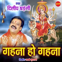 Gahana Ho Gahana - Single - Dilip Shadangi