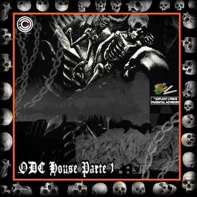 ODC House Parte 1