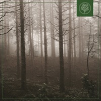 Forest View - Single - Birds Of The West, sloh rou & Beats for Trees