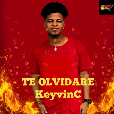 Te Olvidare - Single