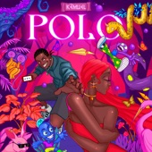 Polo artwork