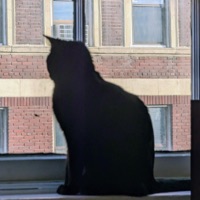 Different Skies - Single - Broken_Canyon