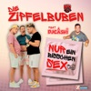 Nur ein bisschen Sex (feat. DJ Cashi) - Single