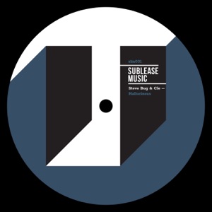 Hallucinous (Leeni & Danilo Kupfernagel Remix)