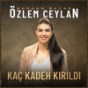 Kaç Kadeh Kırıldı - Single