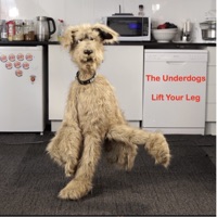 Lift Your Leg - Single - The Underdogs