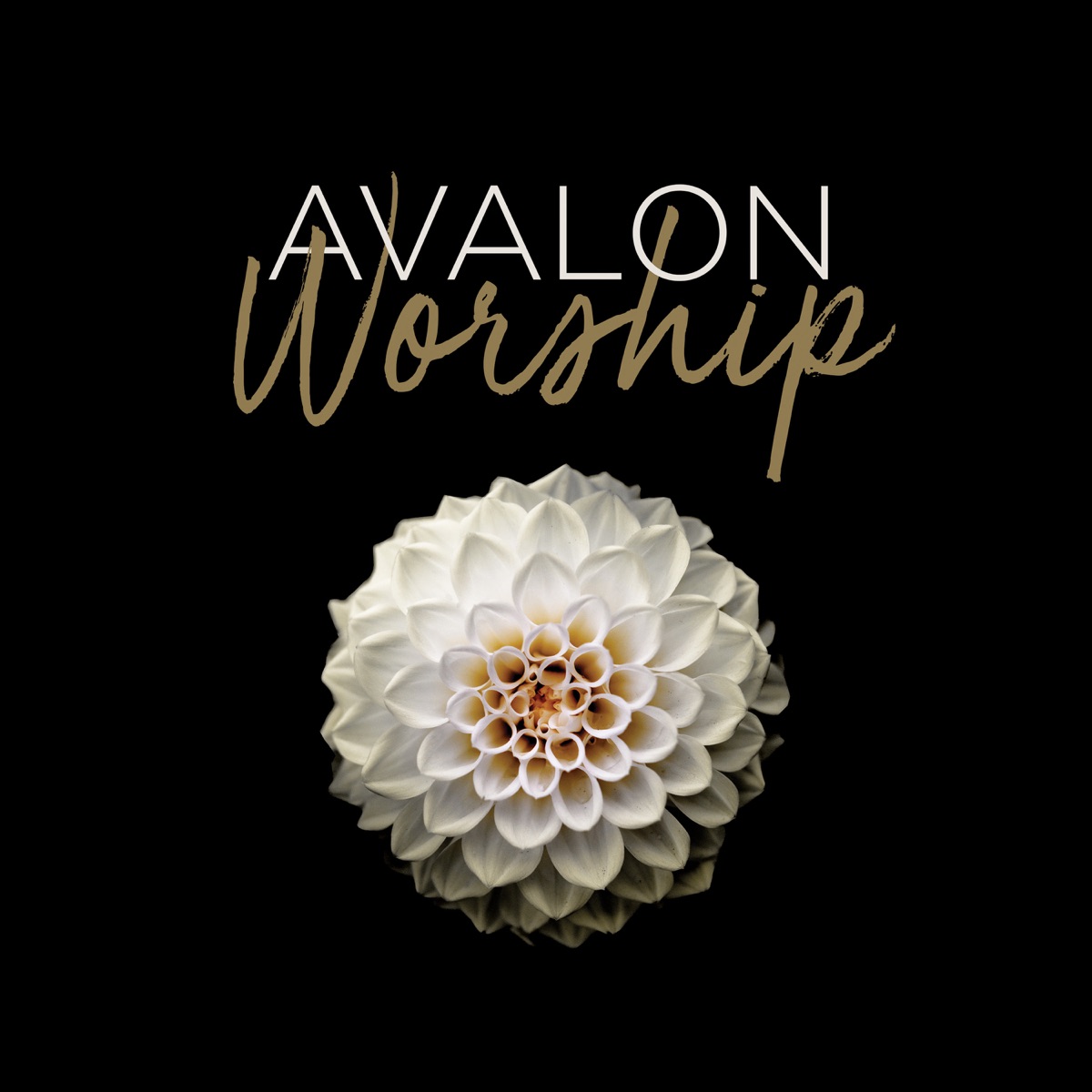 Avalon - Single — álbum de MagMell — Apple Music