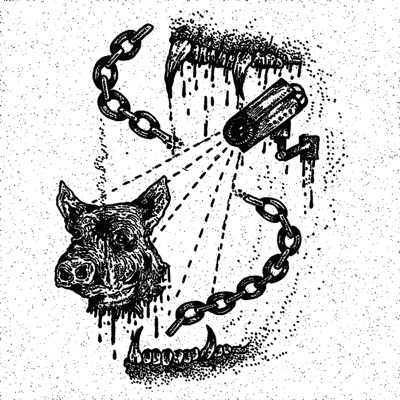 Pig Skinner - Single