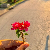 รอยยิ้มของคุณ (feat. Prim Thanyarat, GGUNX & Maileafy) - Single - BASFACE