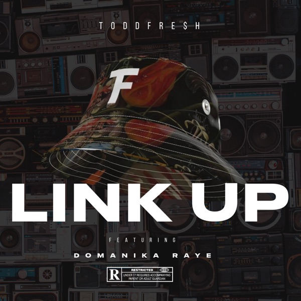 LINK UP (feat. Domanika Raye) - Single