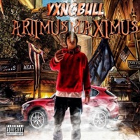 Artimus Maximus - YxngBull