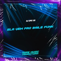 Ela Vem pro Baile Funk - Single - DJ DPZ 011