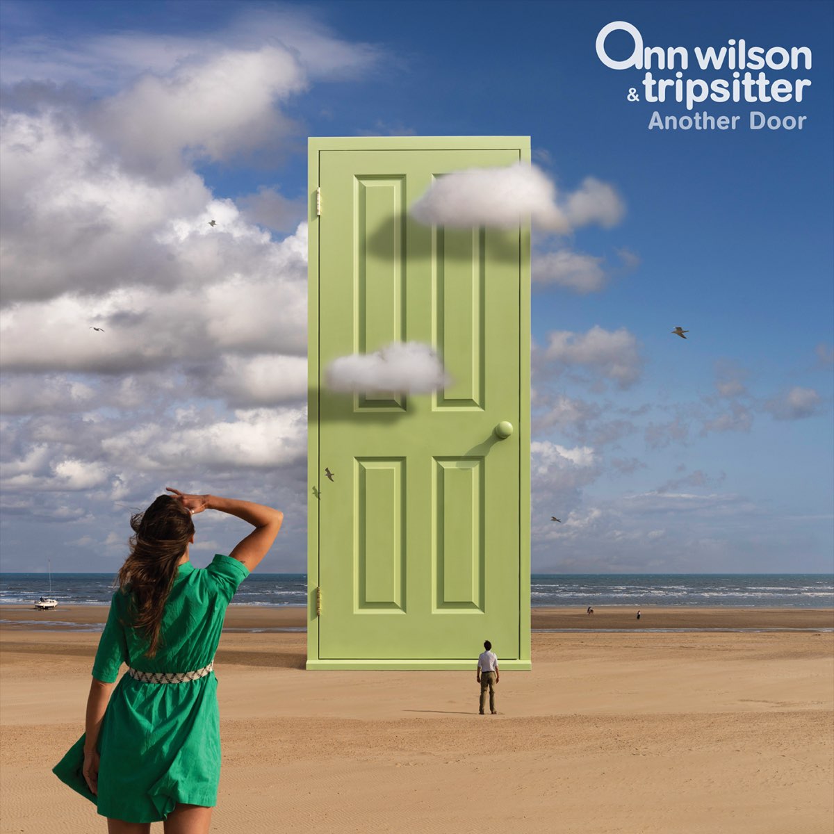 ‎Another Door Album by Ann Wilson & Tripsitter Apple Music