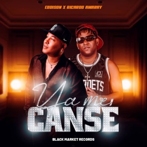 Ya Me Cansé (feat. Ricardo Amaray)