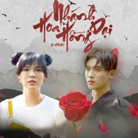 Nhánh Hoa Hồng Dại (NiNef x HHD Lofi Remix) [feat. HOA H?NG D?I MUSIC] - Single - H-Kray
