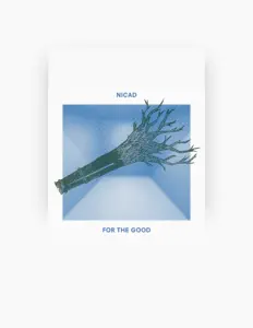 收听 NiCad、观看音乐视频、阅读小传、查看巡演日期等 ！