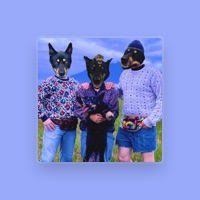 The Rain Dogs