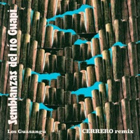 Los Guasangú ((Cerrero Remix)) - Single - Semblanzas del Rio Guapi & Cerrero