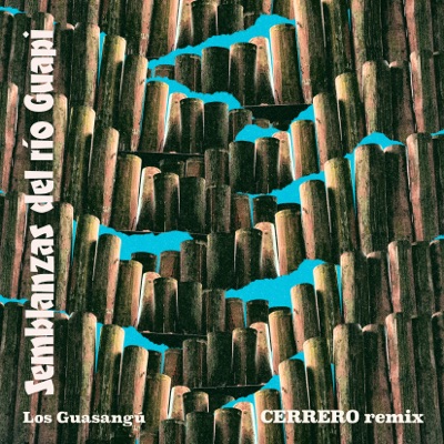 Los Guasangú ((Cerrero Remix)) - Single