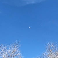 Lives (feat. Sober Smoking Bob) - Single - Kito Ki