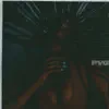 pVg