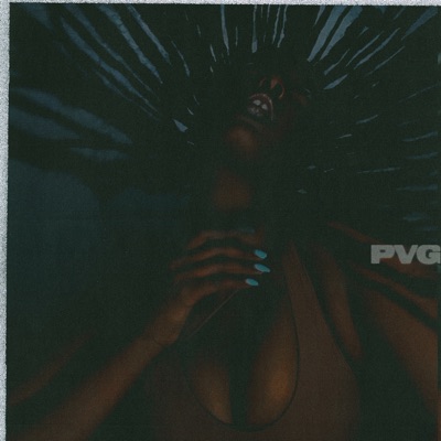 pVg - Single