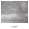 Chasing Embers - Single