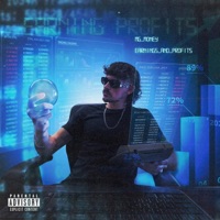 Earnings & Profits - EP - MG Money