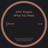 What You Need (Disco Gospel Mix) - Single